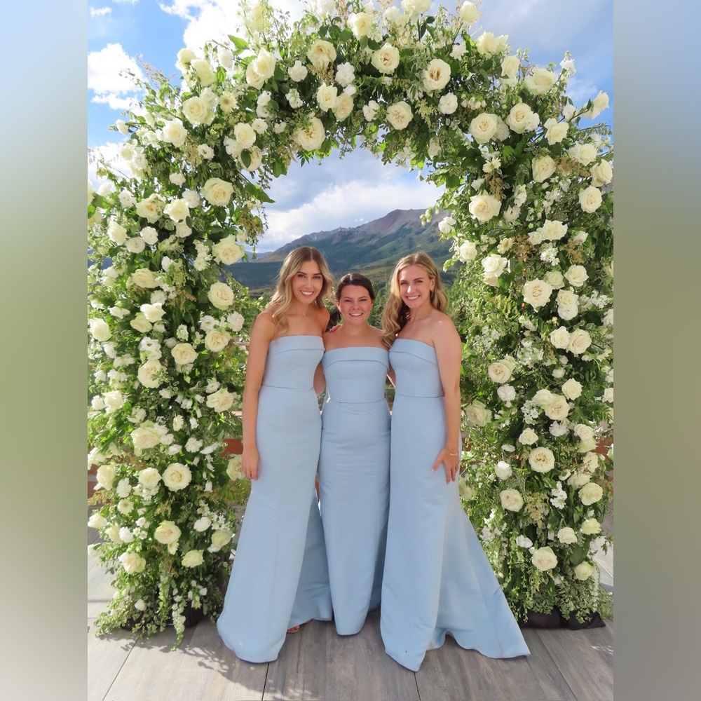 Bella Bridesmaids Amsale Jaylin Dress